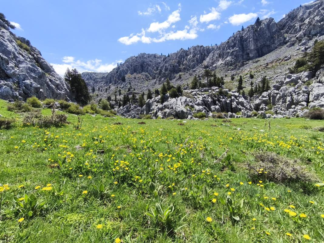 Konya’nın ünlü yaylasında baharın renkli yüzü çıktı 20